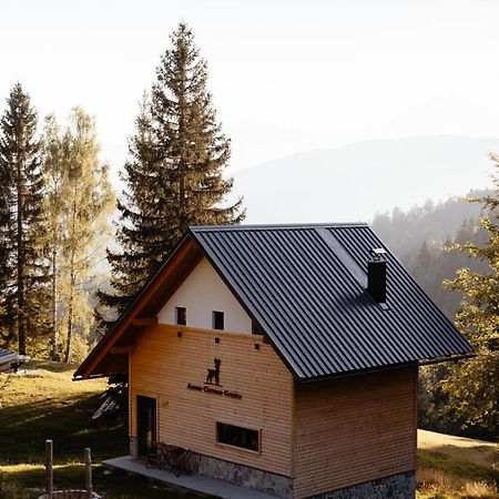 Alpine Cottage Golica Jesenice Zewnętrze zdjęcie