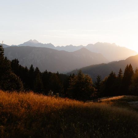 Alpine Cottage Golica Jesenice Zewnętrze zdjęcie