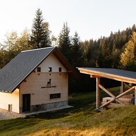 Alpine Cottage Golica Jesenice Zewnętrze zdjęcie