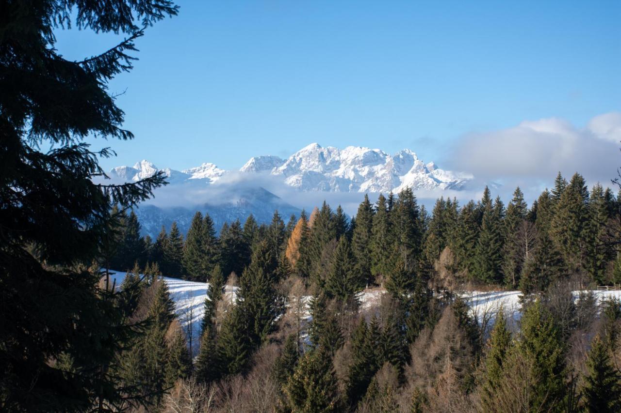 Alpine Cottage Golica Jesenice Zewnętrze zdjęcie