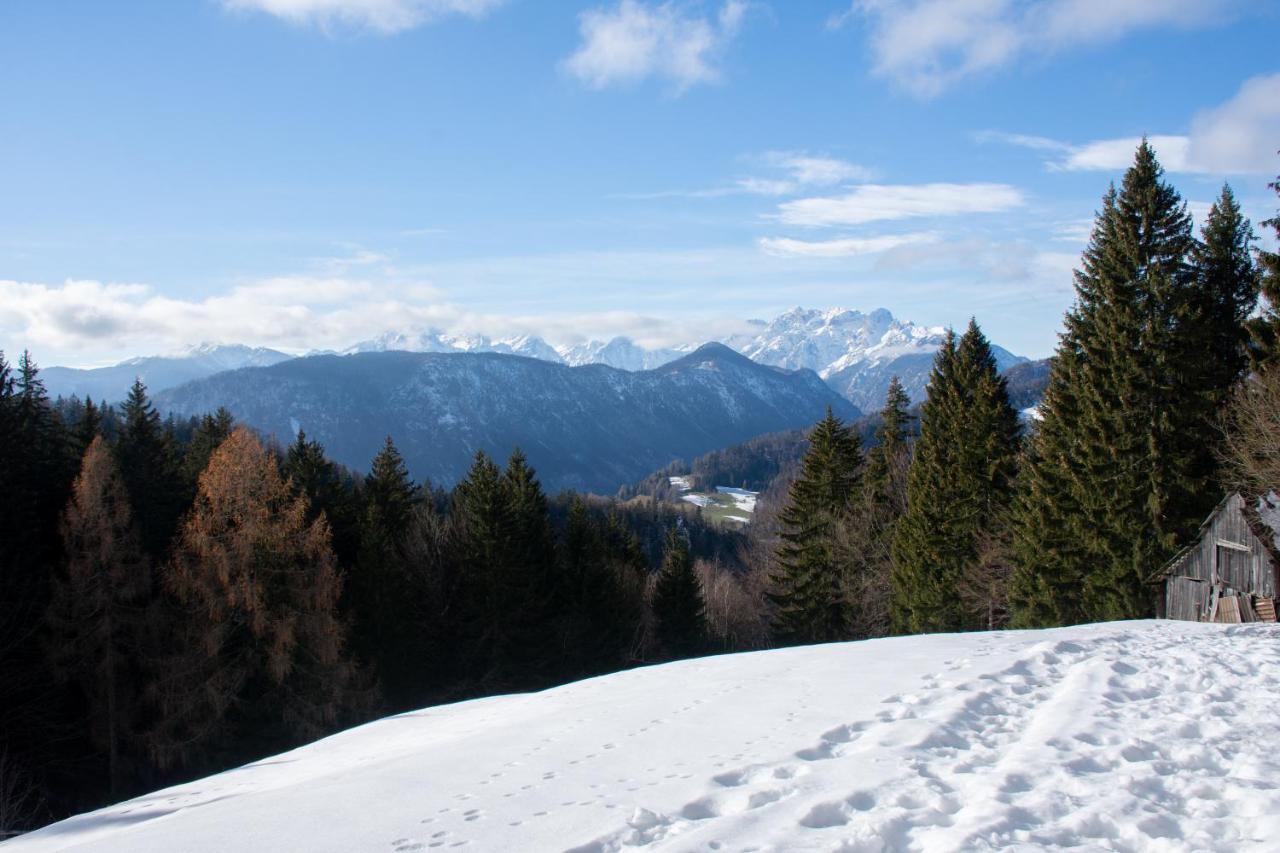 Alpine Cottage Golica Jesenice Zewnętrze zdjęcie