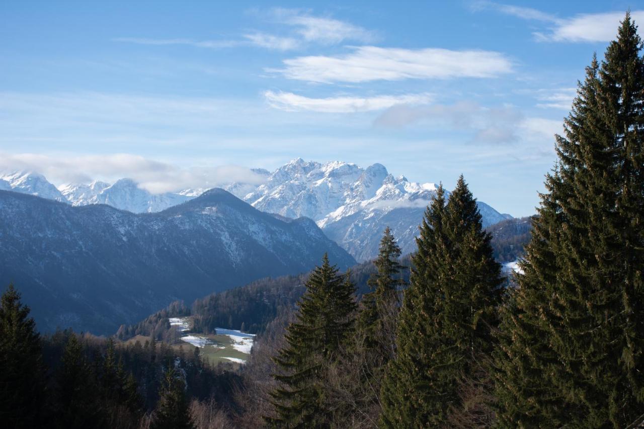 Alpine Cottage Golica Jesenice Zewnętrze zdjęcie
