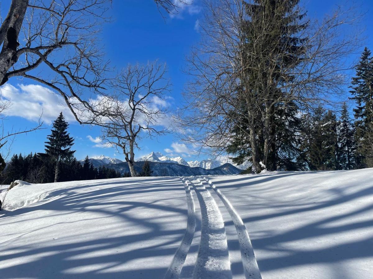 Alpine Cottage Golica Jesenice Zewnętrze zdjęcie