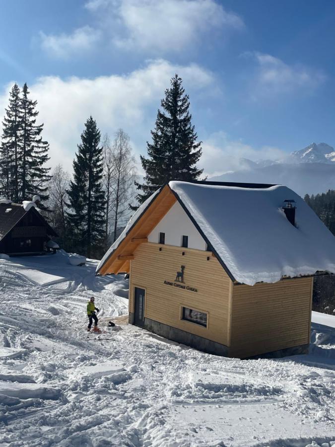Alpine Cottage Golica Jesenice Zewnętrze zdjęcie