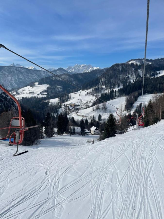Alpine Cottage Golica Jesenice Zewnętrze zdjęcie