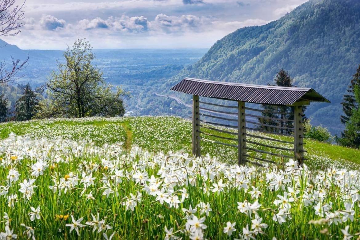Alpine Cottage Golica Jesenice Zewnętrze zdjęcie