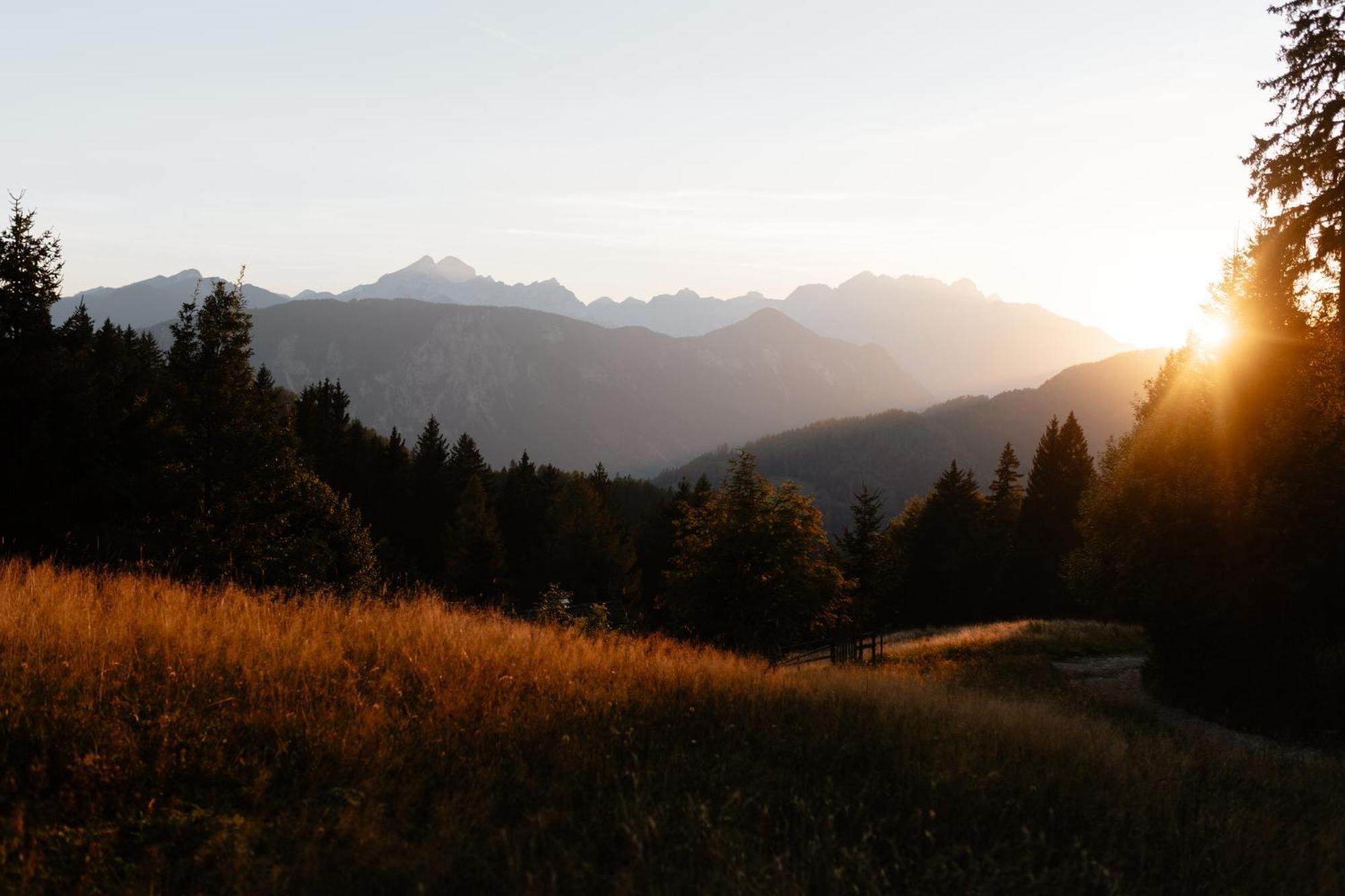 Alpine Cottage Golica Jesenice Zewnętrze zdjęcie